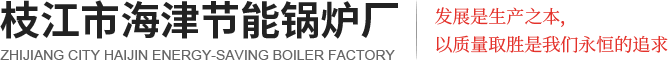 宜昌生物質(zhì)鍋爐